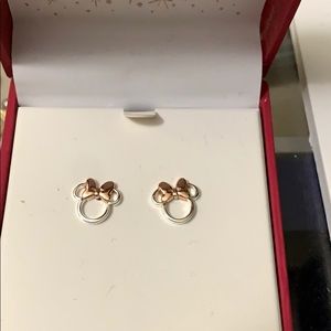 Minnie earnings